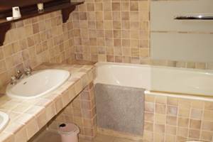 SDB-hortensias-bed-and-breakfast-saultchevreuil-villedieu