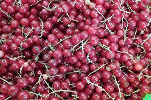 Sans titre-photo-news