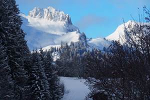 vue depuis la cuisine du chalet clémence