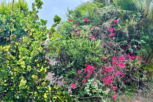 Un jardin paysagé rempli de fleurs et d’arbres fruitiers