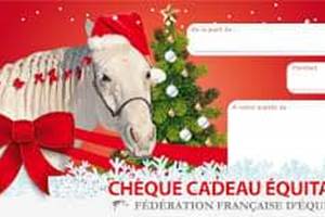 Faites un cadeau inoubliable