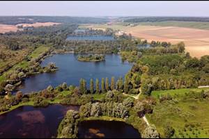 Les Marais de Saint Gond