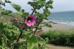 IMG_20240228_234542