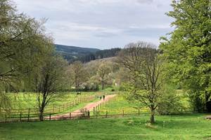 Jardin arrière, vue sur la vallée de l'Amblève