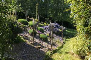 jardin printemps
