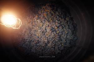 PIERRE & BERTRAND COULY - Nos cuves