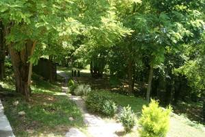 LA nature