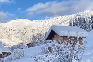 Vue depuis les chalets d'Heidi