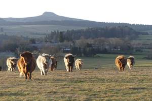 La Banne d'Ordanche vue Des Grands Champs