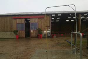douche de l'écurie pour les chevaux