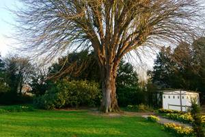 275974842_2070592546451775_7392394116568219009_n