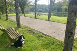 Le boulodrome (et Voltaire 05.2024)