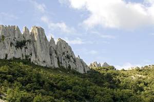 Les dentelles de Montmirail