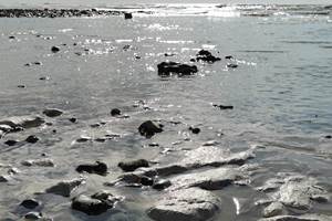 Mont-Calme-Gîte-Criel-Sur-Mer - marée basse