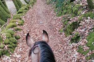 Les chemins bordés de muret en pierre sèche lors d'une randonnée équestre - Monts du Limousin - Ferme de la Chevêche
