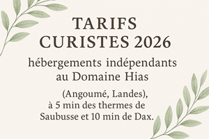 Appartement T2 – Séjours curistes de 3 semaines – Domaine Hias-photo-news