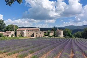 2055a433-7a15-44a6-b13f-fccfa08a674b