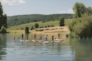 Stand up paddle