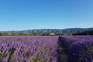 cd1335b5-ed14-4315-8ed4-9c42093cc105