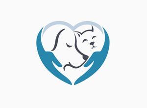 animaux acceptés dans les locations