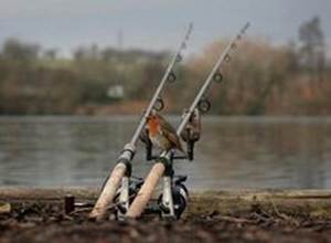 c5f294108aa7cbac1276f929a789140b