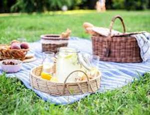 Panier Pic Nic - Photo non contractuelle