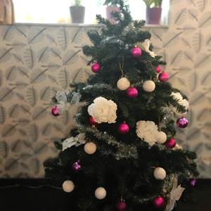Notre sapin trônera dans le séjour sauf si ??
