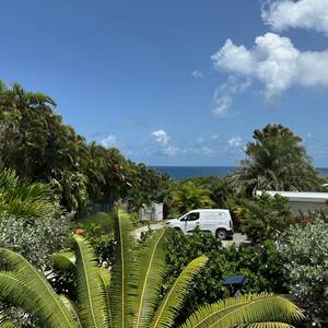 Iguane House villas & Micro Spa Villa Mangrove parking et vue mer