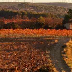 Vue du Gite en Automne