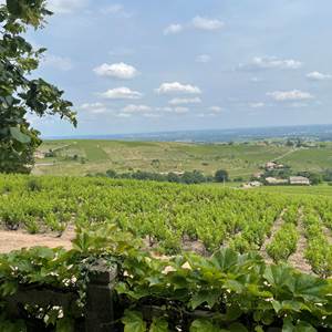 Vue panoramique