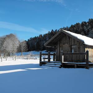 ext-neige