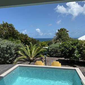 Iguane House villas & Micro Spa Villa Mangrove  piscine et vue mer