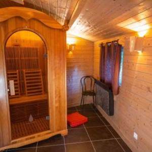 sauna infrarouge-options