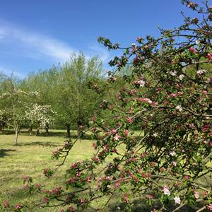 niché dans un hectare de verdure