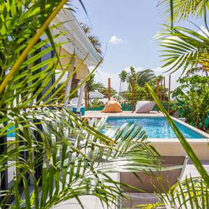 Iguane House villas & Micro Spa Suite Passion piscine