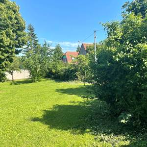 Le grand jardin