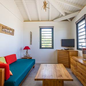 Iguane House villas & Micro Spa Suite Passion salon intérieur