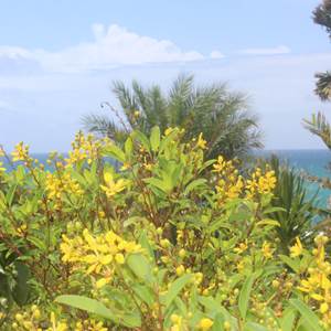 Iguane House villas & Micro Spa Villa Corail jardin paysagé et vue mer