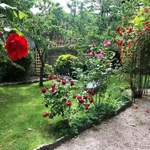 Le jardin fleuri