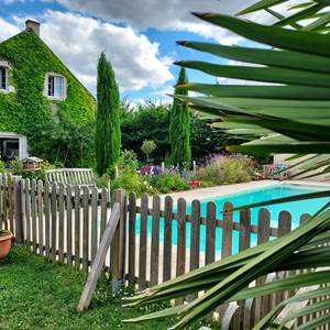 Jardin et piscine