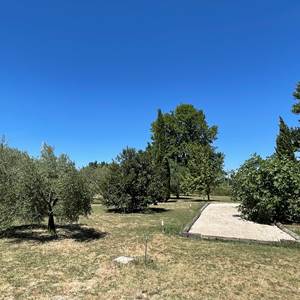 Le terrain de pétanque