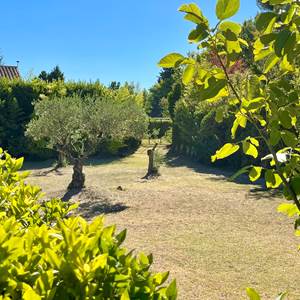 Vue du jardin côté cour intérieure