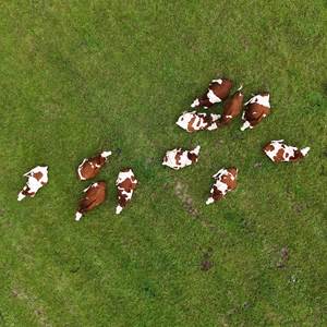 DJI_20240901163313_0224_D
