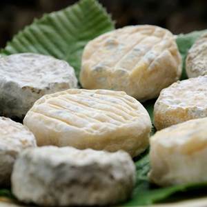 Pélardon (AOP) spécialité des Cévennes...