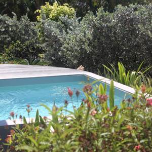 Iguane House villas & Micro Spa piscine Villa Lagon
