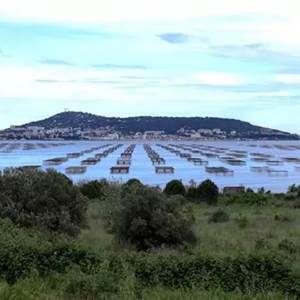 Sete Etang de Thau