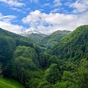 Magnifique vue sur les montagnes enneigées