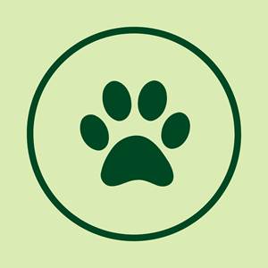 Animal de compagnie