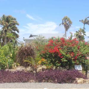 Iguane House villas & Micro Spa Villa Corail vue générale depuis le parking