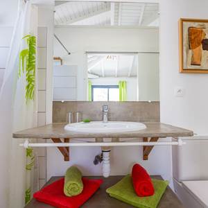 Iguane House villas & Micro Spa Suite Passion salle de douche
